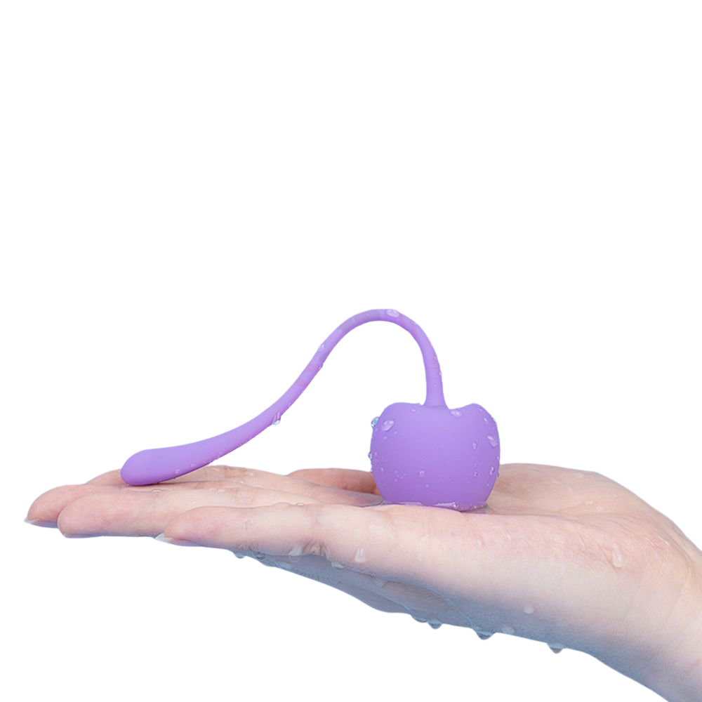 Pelvic Floor Health Strengthening Trainer